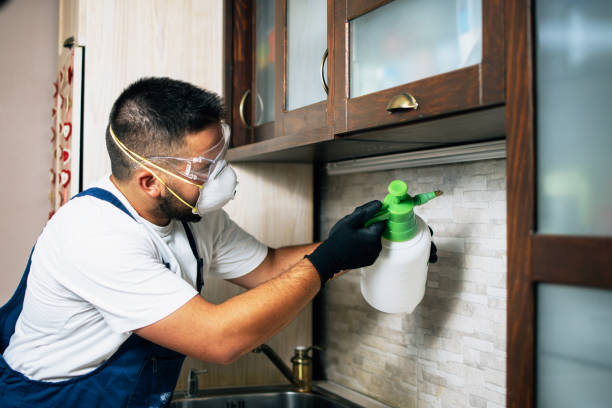 Best Residential Pest Control  in Cedar Glen Lakes, NJ