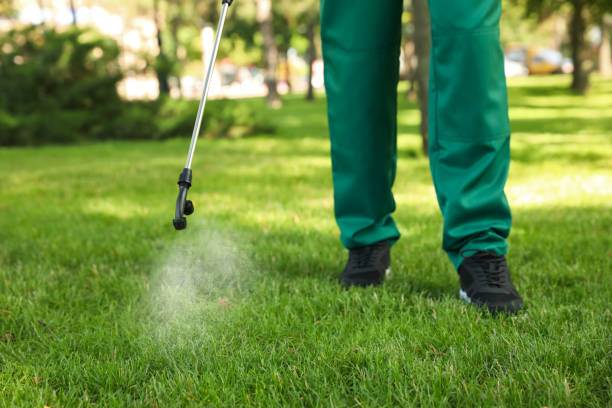 Best Mosquito Control Services  in Cedar Glen Lakes, NJ