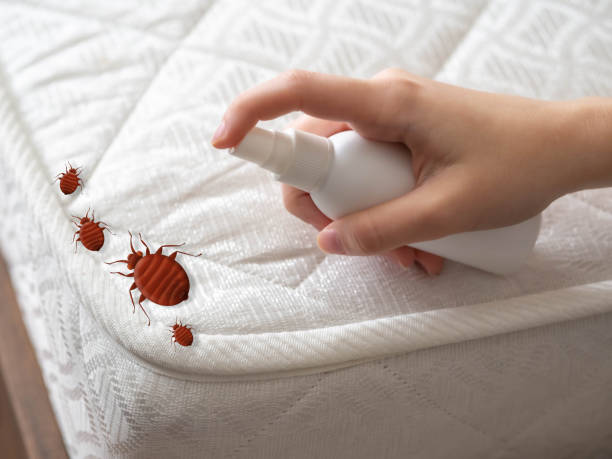 Best Bed Bug Extermination  in Cedar Glen Lakes, NJ