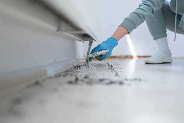 Best Flea Control Services  in Cedar Glen Lakes, NJ